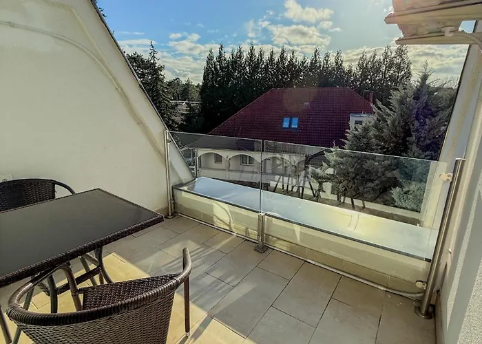 Golden Coast Daire *